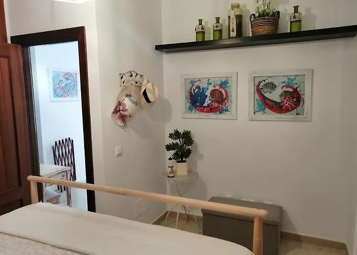 Casa Tortuga 펜션 코스타 테기세